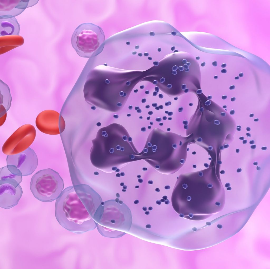 Immunofluorescence imaging of immune cells studied in relation to synaptic density.